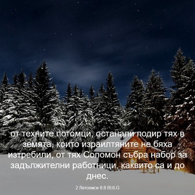 Picture 03 - 2 Летописи 8:8 BULG - от техните потомци, - Bible Verse Picture