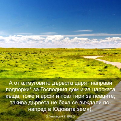 Picture 03 - 2 Летописи 9:11 BULG - А от алмуговите дървета - Bible Verse Picture