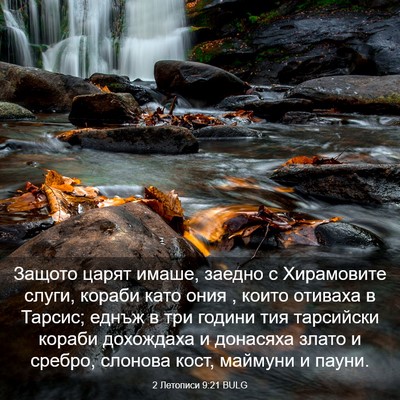 Picture 03 - 2 Летописи 9:21 BULG - Защото царят имаше, заедно - Bible Verse Picture