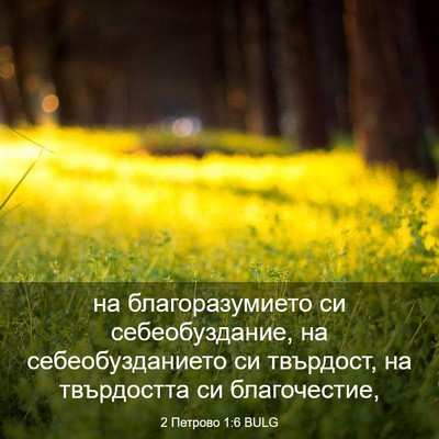 Picture 03 - 2 Петрово 1:6 BULG - на благоразумието си - Bible Verse Picture