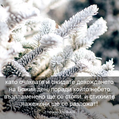 Picture 03 - 2 Петрово 3:12 BULG - като очаквате и ожидате - Bible Verse Picture