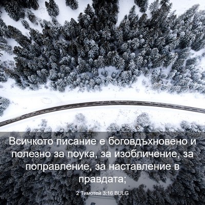 Picture 03 - 2 Тимотей 3:16 BULG - Всичкото писание е - Bible Verse Picture