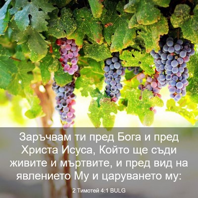Picture 03 - 2 Тимотей 4:1 BULG - Заръчвам ти пред Бога и - Bible Verse Picture