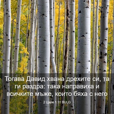 Picture 03 - 2 Царе 1:11 BULG - Тогава Давид хвана дрехите - Bible Verse Picture