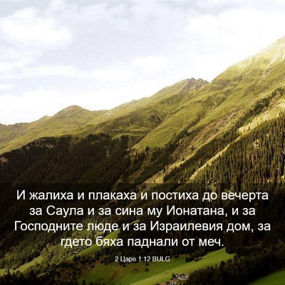 Picture 03 - 2 Царе 1:12 BULG - И жалиха и плакаха и - Bible Verse Picture
