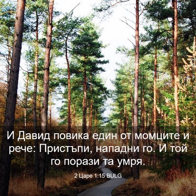Picture 03 - 2 Царе 1:15 BULG - И Давид повика един от - Bible Verse Picture