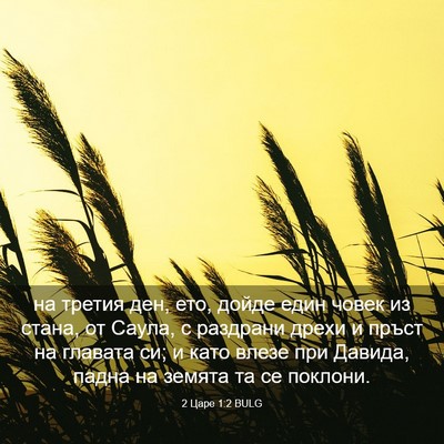 Picture 03 - 2 Царе 1:2 BULG - на третия ден, ето, дойде - Bible Verse Picture