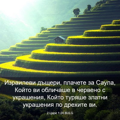 Picture 03 - 2 Царе 1:24 BULG - Израилеви дъщери, плачете - Bible Verse Picture