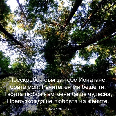 Picture 03 - 2 Царе 1:26 BULG - Прескръбен съм за тебе - Bible Verse Picture