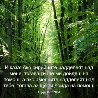 Picture 03 - 2 Царе 10:11 BULG - И каза: Ако сирийците - Bible Verse Picture