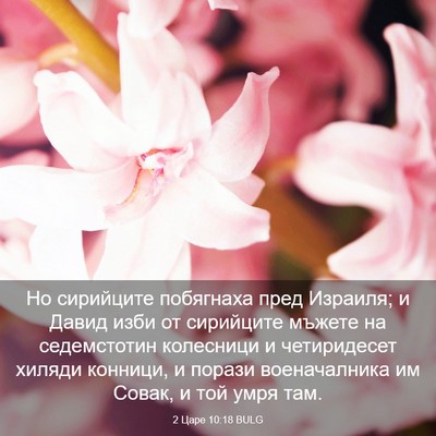 Picture 03 - 2 Царе 10:18 BULG - Но сирийците побягнаха - Bible Verse Picture