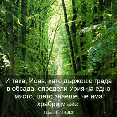 Picture 03 - 2 Царе 11:16 BULG - И така, Иоав, като държеше - Bible Verse Picture