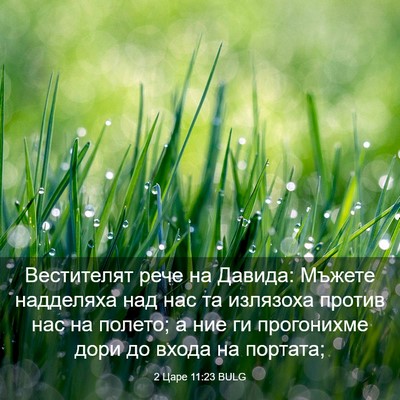 Picture 03 - 2 Царе 11:23 BULG - Вестителят рече на Давида: - Bible Verse Picture