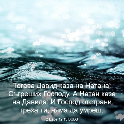 Picture 03 - 2 Царе 12:13 BULG - Тогава Давид каза на - Bible Verse Picture
