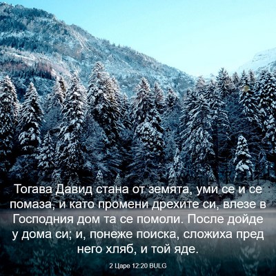 Picture 03 - 2 Царе 12:20 BULG - Тогава Давид стана от - Bible Verse Picture