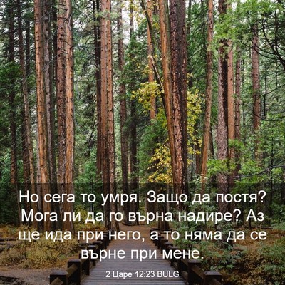 Picture 03 - 2 Царе 12:23 BULG - Но сега то умря. Защо да - Bible Verse Picture
