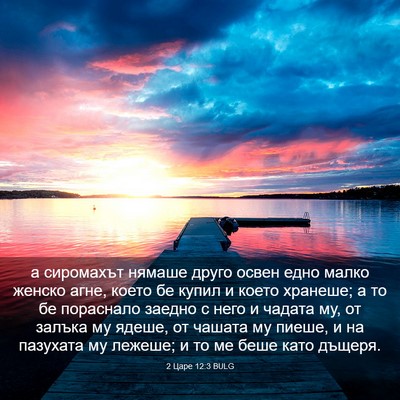 Picture 03 - 2 Царе 12:3 BULG - а сиромахът нямаше друго - Bible Verse Picture