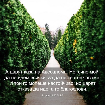 Picture 03 - 2 Царе 13:25 BULG - А царят каза на Авесалома: - Bible Verse Picture