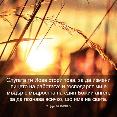Picture 03 - 2 Царе 14:20 BULG - Слугата ти Иоав стори това, - Bible Verse Picture