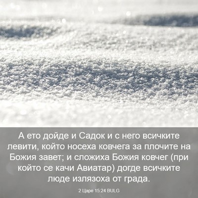 Picture 03 - 2 Царе 15:24 BULG - А ето дойде и Садок и с него - Bible Verse Picture