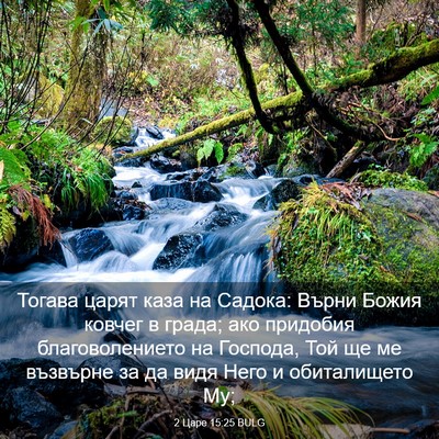 Picture 03 - 2 Царе 15:25 BULG - Тогава царят каза на - Bible Verse Picture