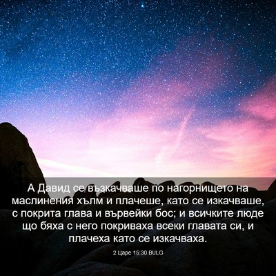 Picture 03 - 2 Царе 15:30 BULG - А Давид се възкачваше по - Bible Verse Picture