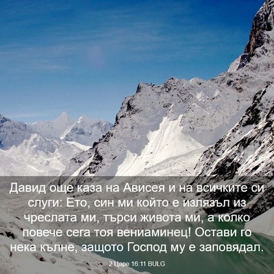Picture 03 - 2 Царе 16:11 BULG - Давид още каза на Ависея и - Bible Verse Picture