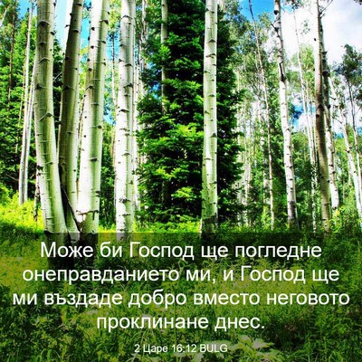 Picture 03 - 2 Царе 16:12 BULG - Може би Господ ще погледне - Bible Verse Picture