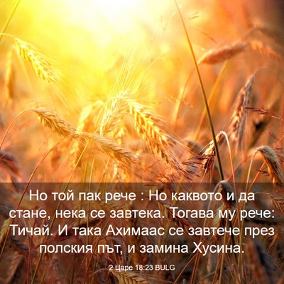 Picture 03 - 2 Царе 18:23 BULG - Но той пак рече : Но каквото - Bible Verse Picture