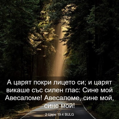 Picture 03 - 2 Царе 19:4 BULG - А царят покри лицето си; и - Bible Verse Picture