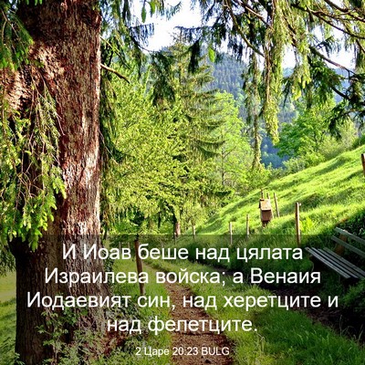 Picture 03 - 2 Царе 20:23 BULG - И Иоав беше над цялата - Bible Verse Picture