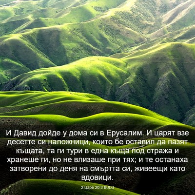 Picture 03 - 2 Царе 20:3 BULG - И Давид дойде у дома си в - Bible Verse Picture