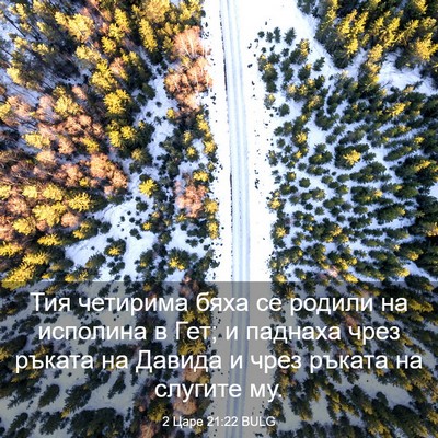 Picture 03 - 2 Царе 21:22 BULG - Тия четирима бяха се - Bible Verse Picture