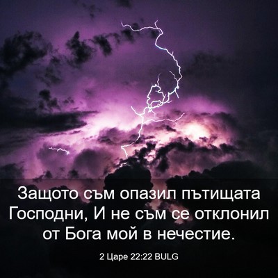 Picture 03 - 2 Царе 22:22 BULG - Защото съм опазил пътищата - Bible Verse Picture
