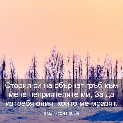 Picture 03 - 2 Царе 22:41 BULG - Сторил си на обърнат гръб - Bible Verse Picture
