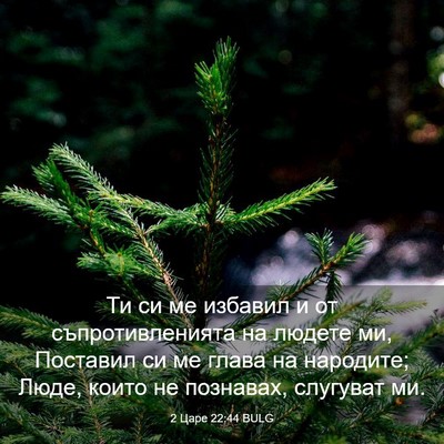 Picture 03 - 2 Царе 22:44 BULG - Ти си ме избавил и от - Bible Verse Picture