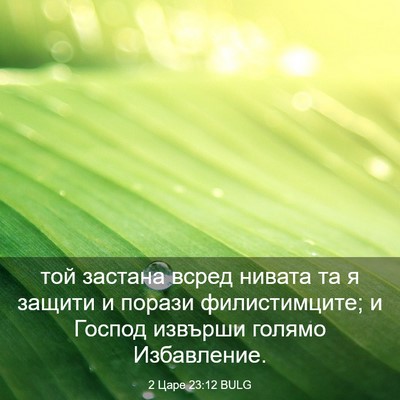 Picture 03 - 2 Царе 23:12 BULG - той застана всред нивата - Bible Verse Picture