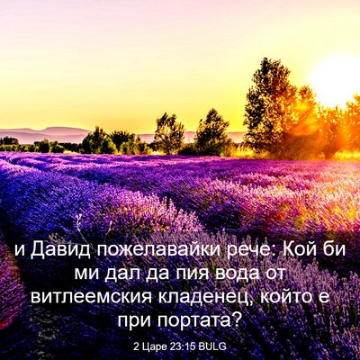 Picture 03 - 2 Царе 23:15 BULG - и Давид пожелавайки рече: - Bible Verse Picture