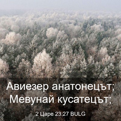 Picture 03 - 2 Царе 23:27 BULG - Авиезер анатонецът; - Bible Verse Picture
