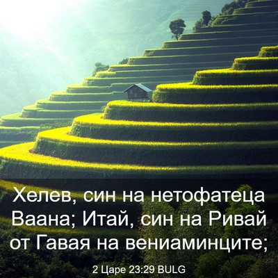 Picture 03 - 2 Царе 23:29 BULG - Хелев, син на нетофатеца - Bible Verse Picture