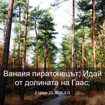 Picture 03 - 2 Царе 23:30 BULG - Ванаия пиратонецът; Идай - Bible Verse Picture