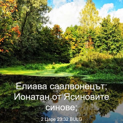 Picture 03 - 2 Царе 23:32 BULG - Елиава саалвонецът; - Bible Verse Picture