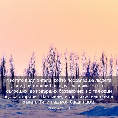Picture 03 - 2 Царе 24:17 BULG - И когато видя ангела, който - Bible Verse Picture