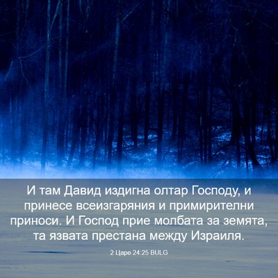 Picture 03 - 2 Царе 24:25 BULG - И там Давид издигна олтар - Bible Verse Picture