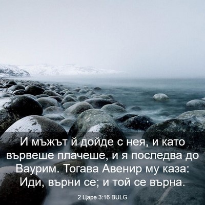 Picture 03 - 2 Царе 3:16 BULG - И мъжът й дойде с нея, и - Bible Verse Picture