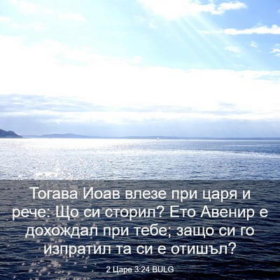 Picture 03 - 2 Царе 3:24 BULG - Тогава Иоав влезе при царя - Bible Verse Picture