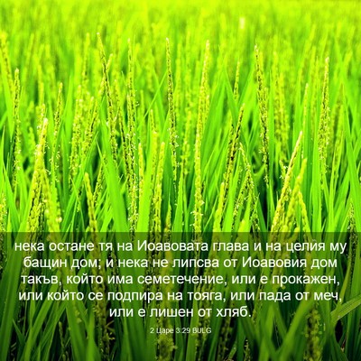 Picture 03 - 2 Царе 3:29 BULG - нека остане тя на - Bible Verse Picture