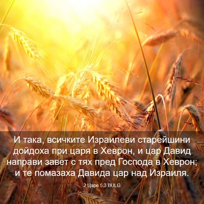 Picture 03 - 2 Царе 5:3 BULG - И така, всичките Израилеви - Bible Verse Picture