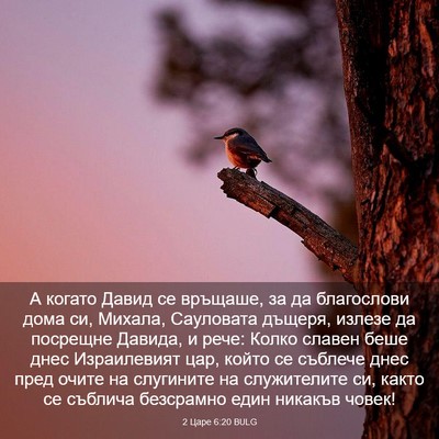 Picture 03 - 2 Царе 6:20 BULG - А когато Давид се връщаше, - Bible Verse Picture