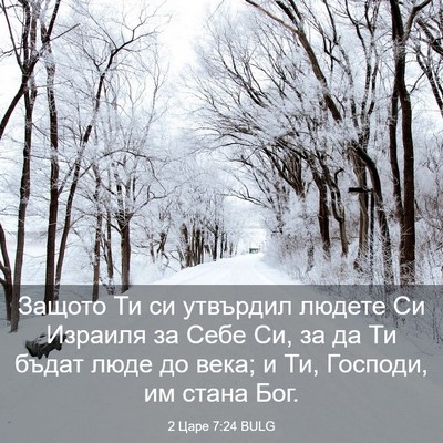 Picture 03 - 2 Царе 7:24 BULG - Защото Ти си утвърдил - Bible Verse Picture